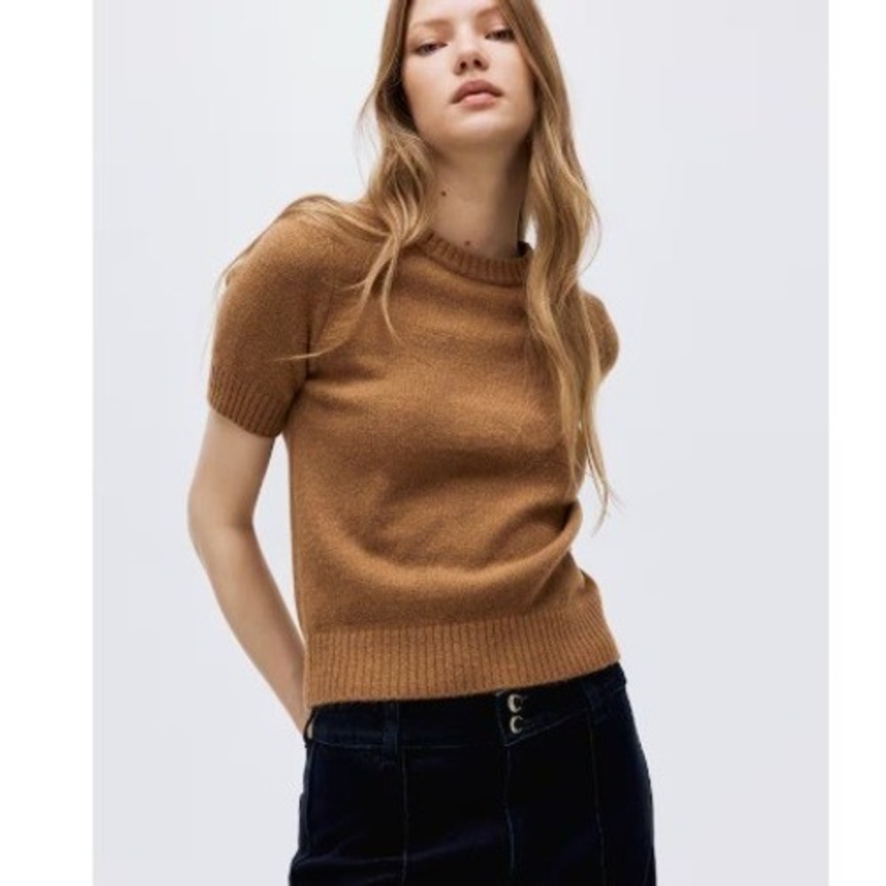 Zara Wool Short Sleeve Knit Sweater Womens Sz M Brown Ribbed minimalist Academia